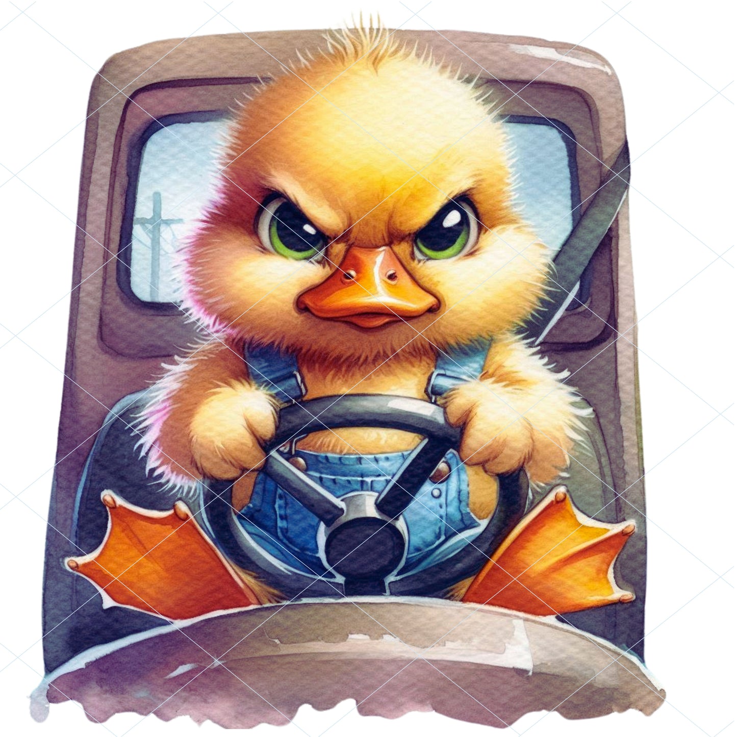 18 Angry Duck