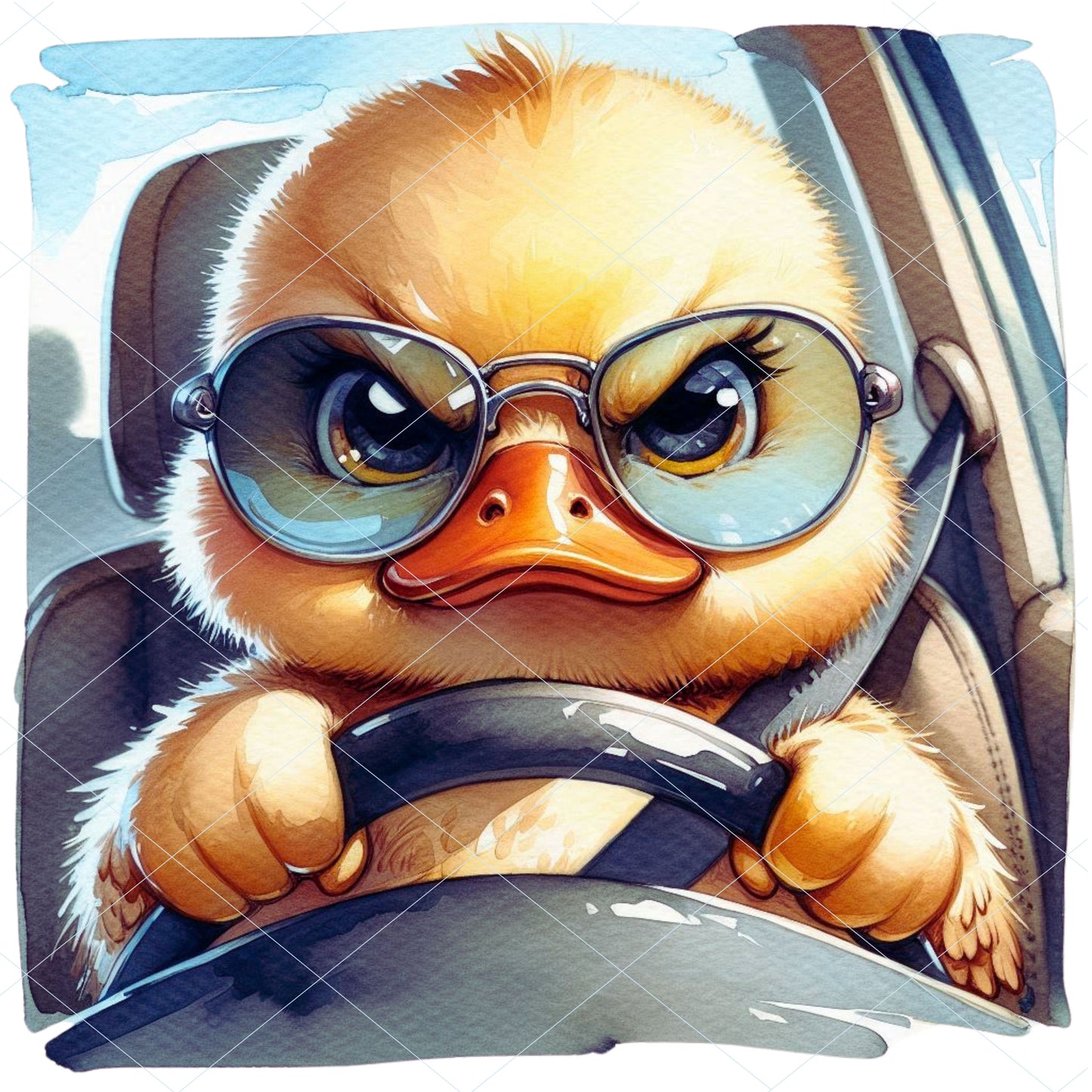 18 Angry Duck
