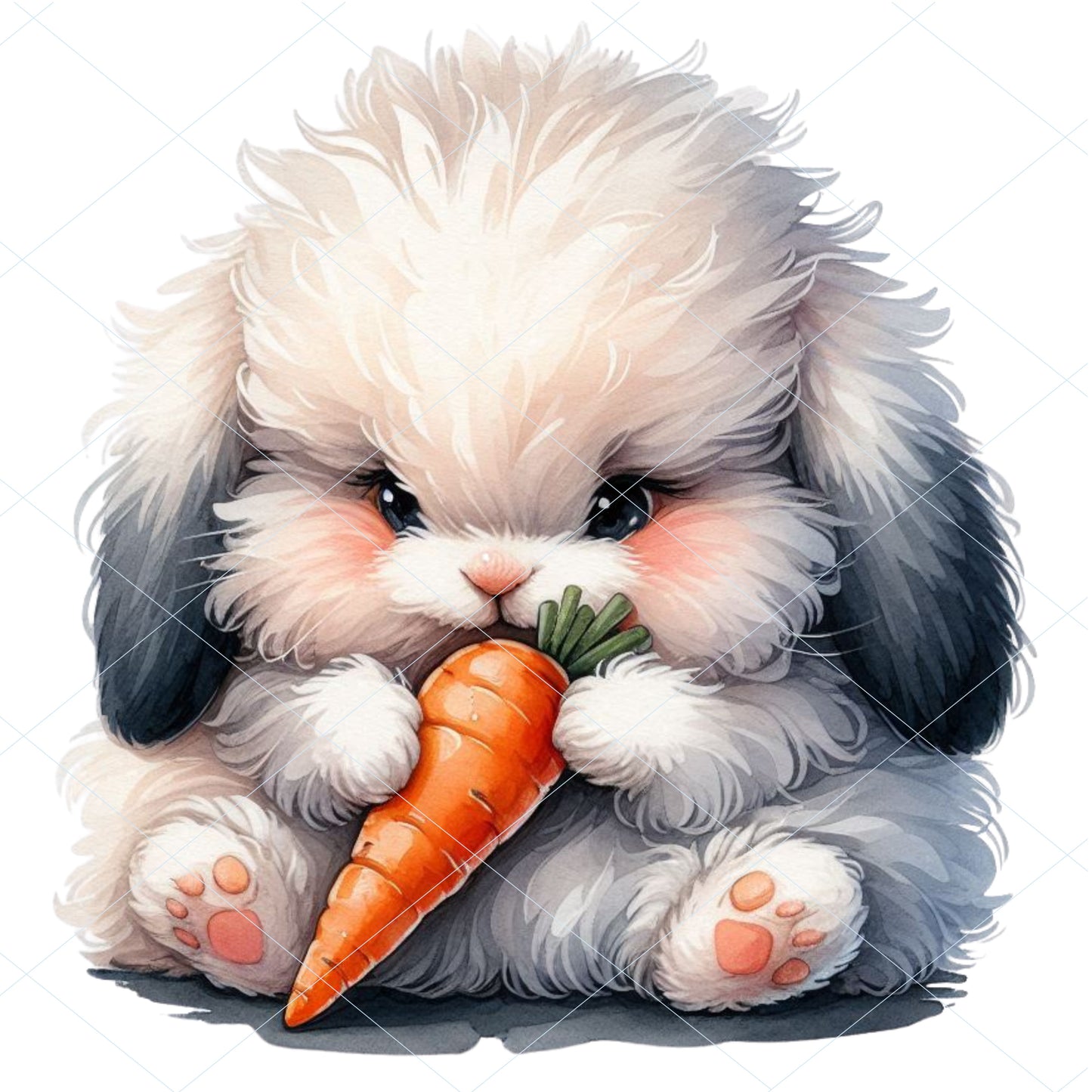 14 Fluffy Bunny Eating Veggies