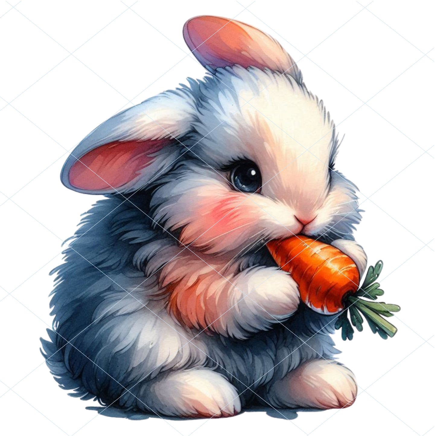 14 Fluffy Bunny Eating Veggies