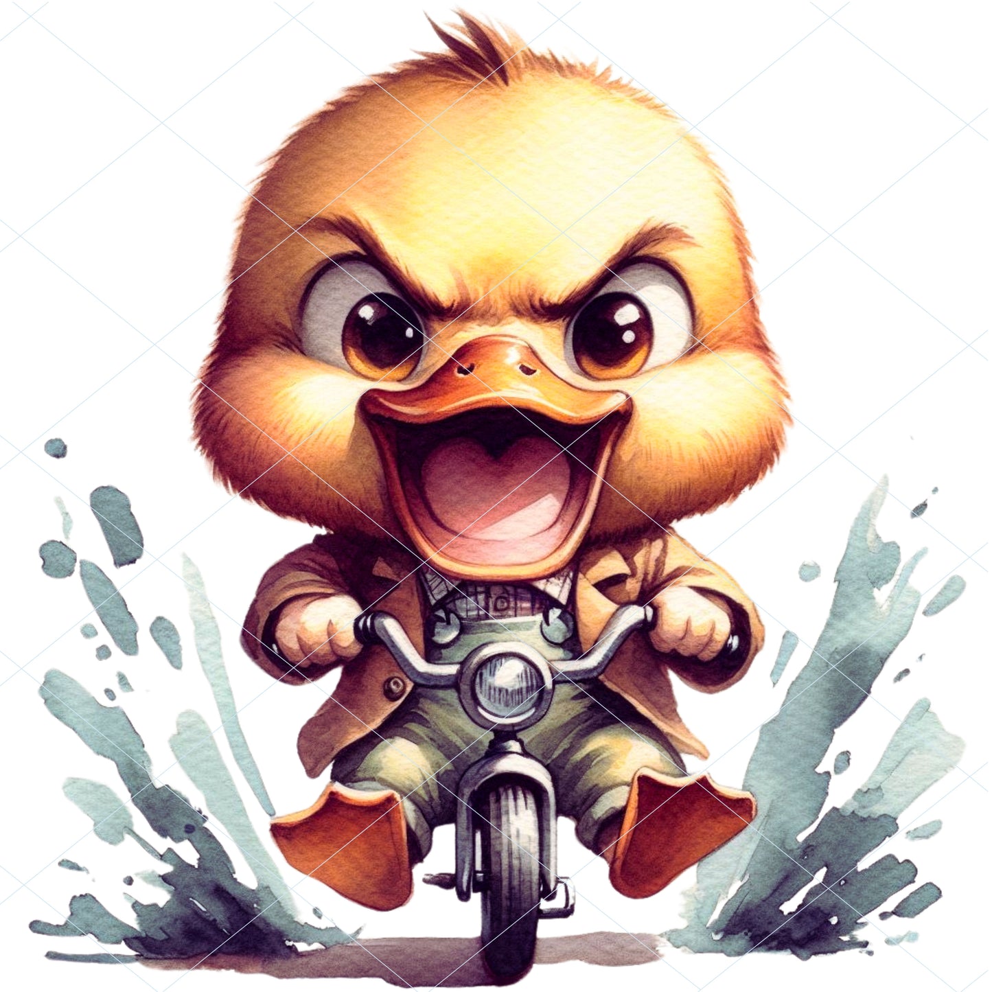 18 Angry Duck