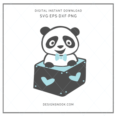Baby Panda in a box - SVG