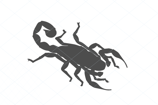 Scorpion svg, scorpion silhouette, scorpion cut file, scorpion vector, scorpion cut file, clipart stencil decal sticker transfer vector 1189